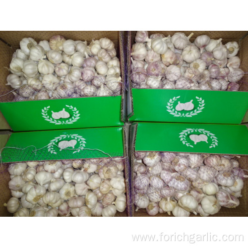 Normal White Garlic Fresh Crop 2019 Jinxiang